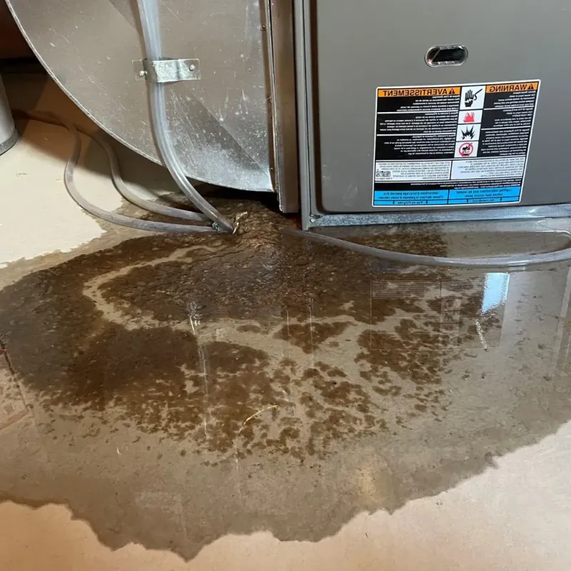 Pipe Burst and Leak Restoration in Nampa, ID